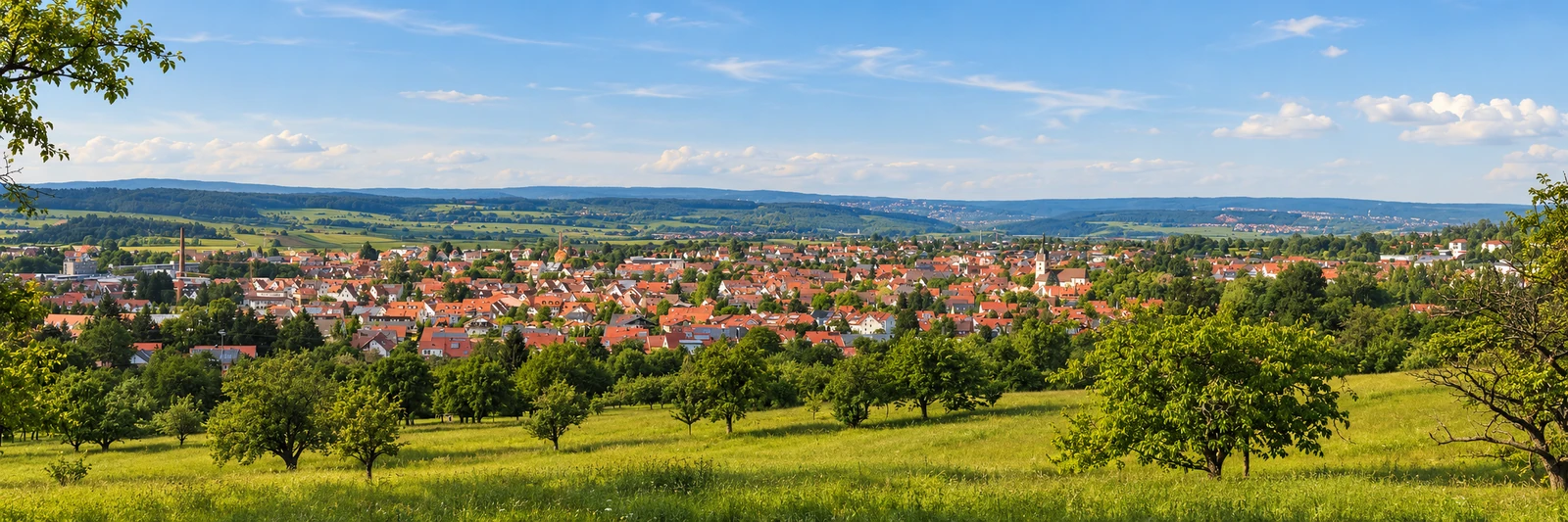 Panoramablick auf M&ouml;ssingen &ndash; KI-gestaltetes Panorama