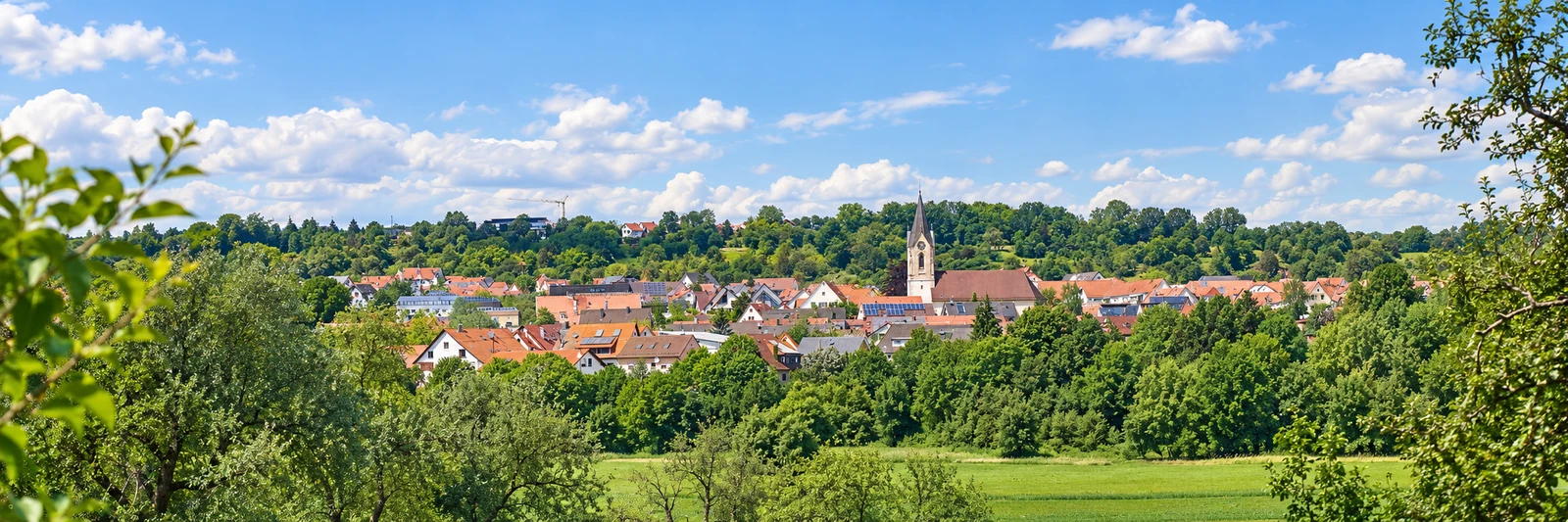 Ortsansicht von Pliezhausen &ndash; KI-gestaltetes Panorama